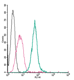 Anti-Neuropilin-1 (NRP1) (extracellular)-FITC Antibody