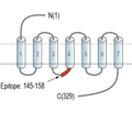 NPBWR1 Blocking Peptide