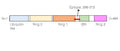 Anti-Parkin Antibody