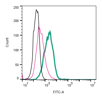 Anti-ADAM10 (extracellular)-FITC Antibody