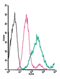 Anti-TMEM119 (extracellular)-APC Antibody