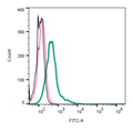 Anti-Robo1 (extracellular)-FITC Antibody