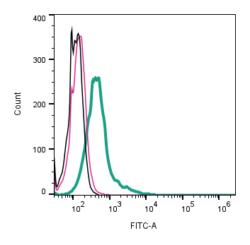 Anti-Robo1 (extracellular)-FITC Antibody
