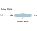 Neuronal Pentraxin 2 (NPTX2) Blocking Peptide