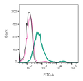 Anti-Neuronal Pentraxin Receptor (NPTXR) (extracellular)-FITC Antibody
