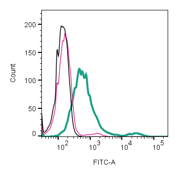 Anti-Neuronal Pentraxin Receptor (NPTXR) (extracellular)-FITC Antibody