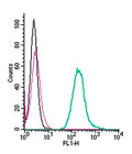 Anti-Neogenin (extracellular)-FITC Antibody