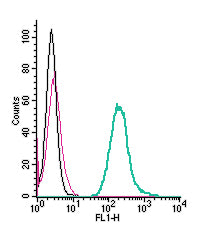 Anti-Neogenin (extracellular)-FITC Antibody