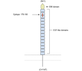 MEGF10 (extracellular) Blocking Peptide