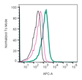 Anti-CD9 (extracellular)-APC Antibody