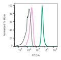 Anti-CD9 (extracellular)-FITC Antibody