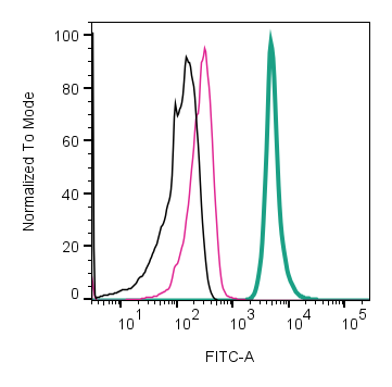 Anti-CD9 (extracellular)-FITC Antibody