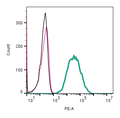 Anti-CD9 (extracellular)-PE Antibody