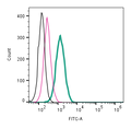 Anti-CD63 (extracellular)-FITC Antibody