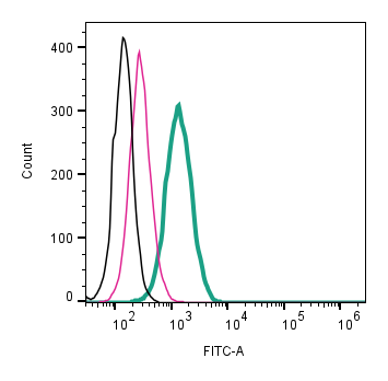 Anti-CD63 (extracellular)-FITC Antibody
