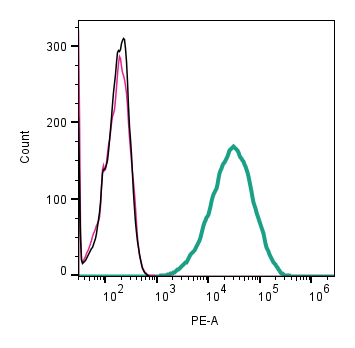 Anti-CD63 (extracellular)-PE Antibody