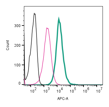 Anti-CD81 (extracellular)-APC Antibody