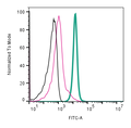 Anti-CD81 (extracellular)-FITC Antibody