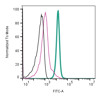 Anti-CD81 (extracellular)-FITC Antibody