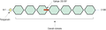 Anti-Progranulin Antibody