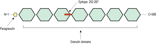 Anti-Progranulin Antibody