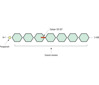 Progranulin Blocking Peptide