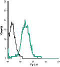 Anti-p75 NGF Receptor (extracellular)-ATTO Fluor-488 Antibody