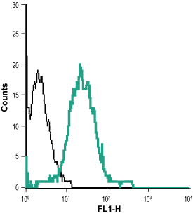 Anti-p75 NGF Receptor (extracellular)-ATTO Fluor-488 Antibody