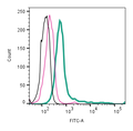 Anti-p75 NGF Receptor (extracellular)-FITC Antibody