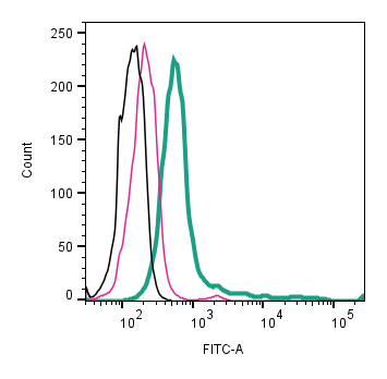 Anti-p75 NGF Receptor (extracellular)-FITC Antibody