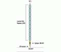 Nogo Receptor (extracellular) Blocking Peptide