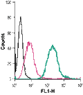 Anti-Sortilin (extracellular)-FITC Antibody