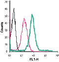 Anti-TrkA (extracellular)-FITC Antibody