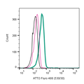 Anti-TrkB (extracellular)-ATTO Fluor-488 Antibody