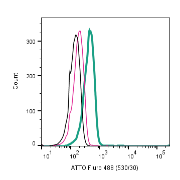 Anti-TrkB (extracellular)-ATTO Fluor-488 Antibody