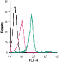 Anti-TrkB (extracellular)-FITC Antibody