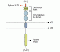 TrkB (extracellular) Blocking Peptide