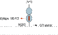 Anti-GFR alpha 4 (extracellular) Antibody