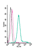 Anti-Ret Receptor (extracellular)-FITC Antibody