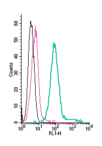Anti-Ret Receptor (extracellular)-FITC Antibody
