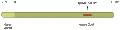 Anti-CDNF Antibody