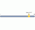 CNTF Blocking Peptide