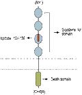 Anti-Human TNF Receptor I (extracellular) Antibody