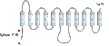 Anti-ENT3 (SLC29A3) Antibody