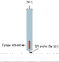 Anti-CD73 (extracellular) Antibody