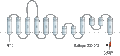 Anti-ASCT1 (SLC1A4) Antibody