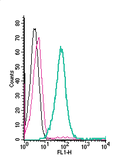 Anti-Human ASCT2/SLC1A5 (extracellular)-FITC Antibody