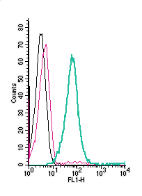 Anti-Human ASCT2/SLC1A5 (extracellular)-FITC Antibody
