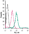 Anti-SLC7A2 (extracellular)-FITC Antibody