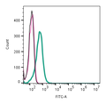 Anti-LAT2 (SLC7A8) (extracellular)-FITC Antibody